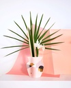 MINI PAPER VASE SIENA (PINK)