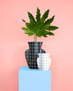 PAPER VASE LIDO (BLACK)