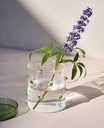 CONTAINER AGAVE SMALL