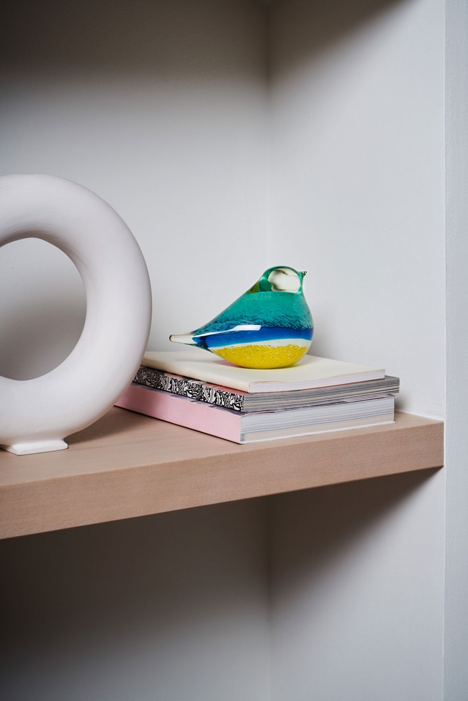 GLASS BIRD ATLAS (AQUA)