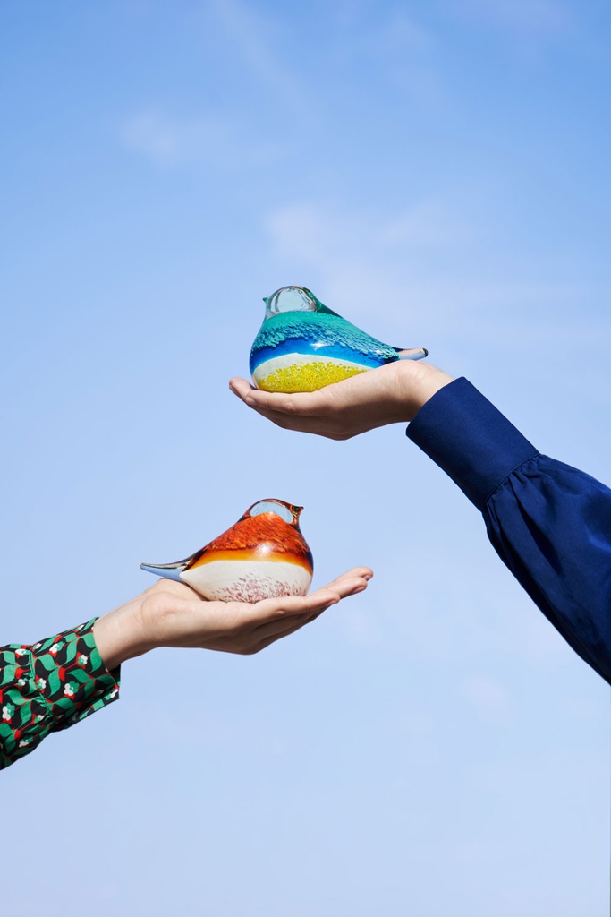 GLASS BIRD ATLAS (AQUA)