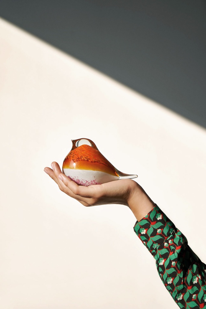 GLASS BIRD ATLAS (AMBER)