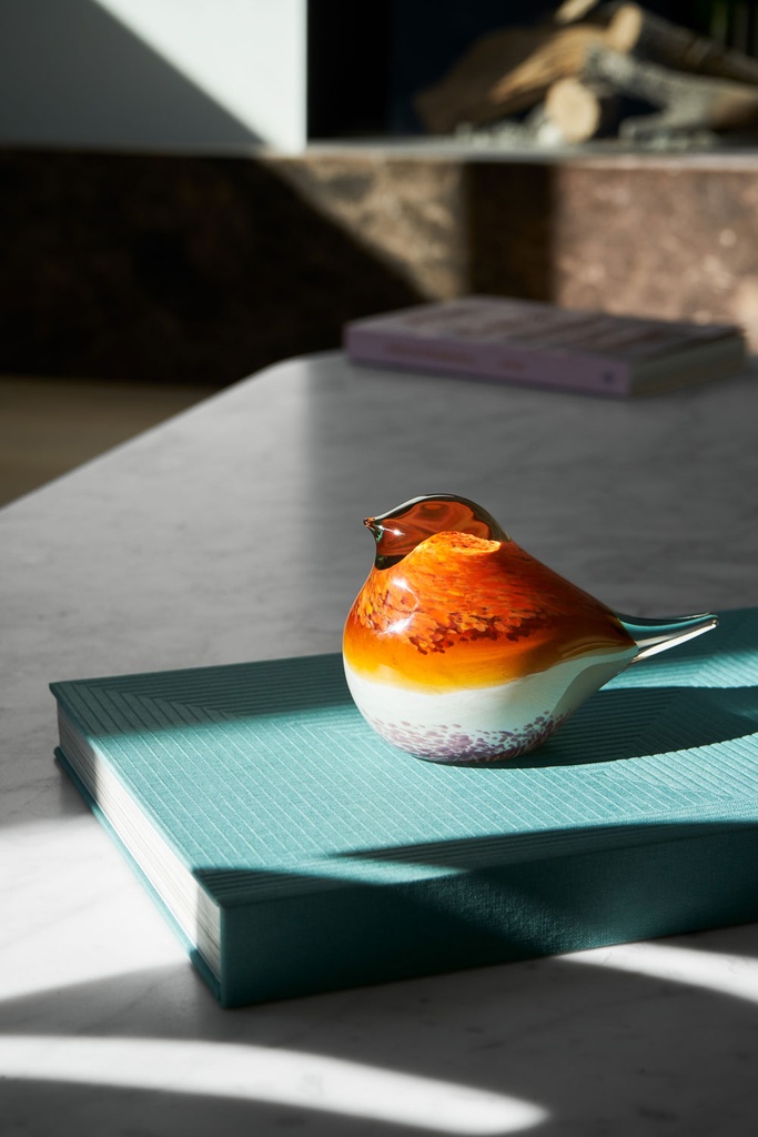 GLASS BIRD ATLAS (AMBER)