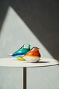 GLASS BIRD ATLAS (AMBER)