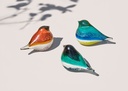 GLASS BIRD ATLAS (AMBER)