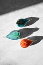GLASS BIRD ATLAS (BLACK/GREEN)