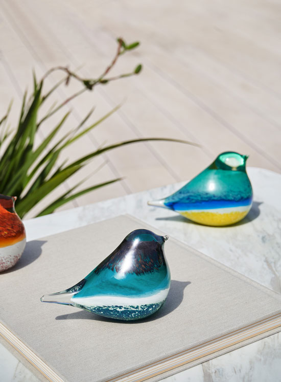 GLASS BIRD ATLAS (BLACK/GREEN)