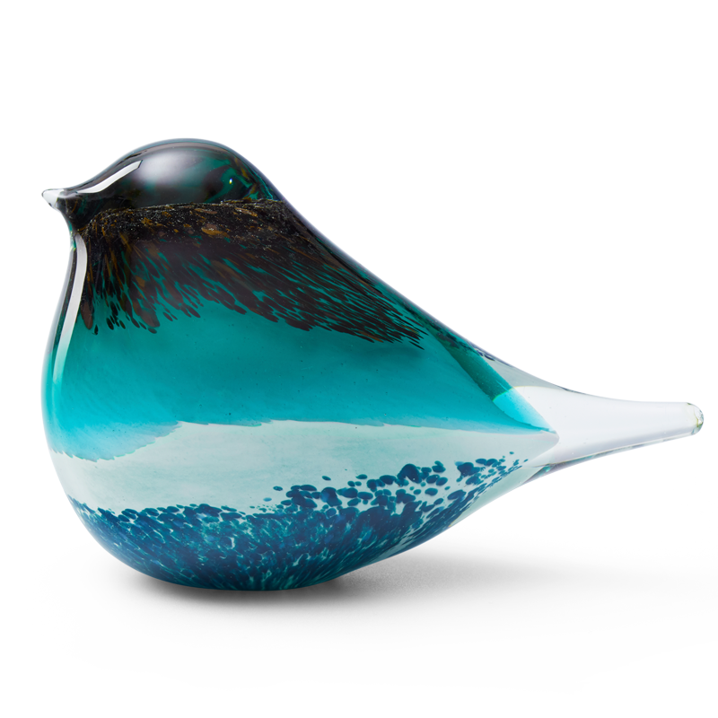 GLASS BIRD ATLAS (BLACK/GREEN)