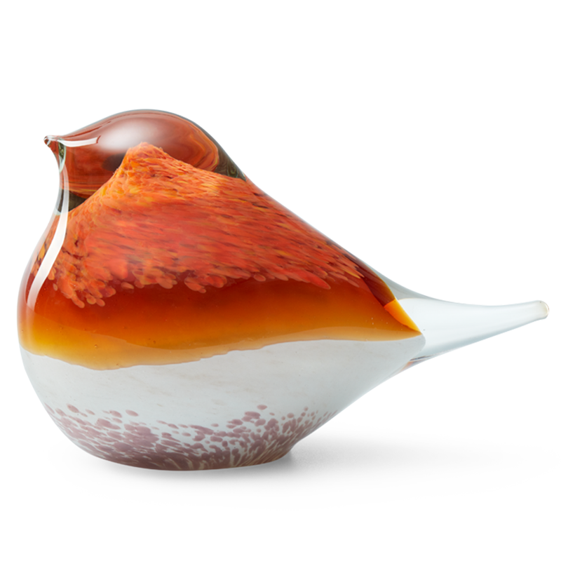 GLASS BIRD ATLAS (ORANGE/PINK)