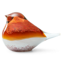 GLASS BIRD ATLAS (ORANGE/PINK)