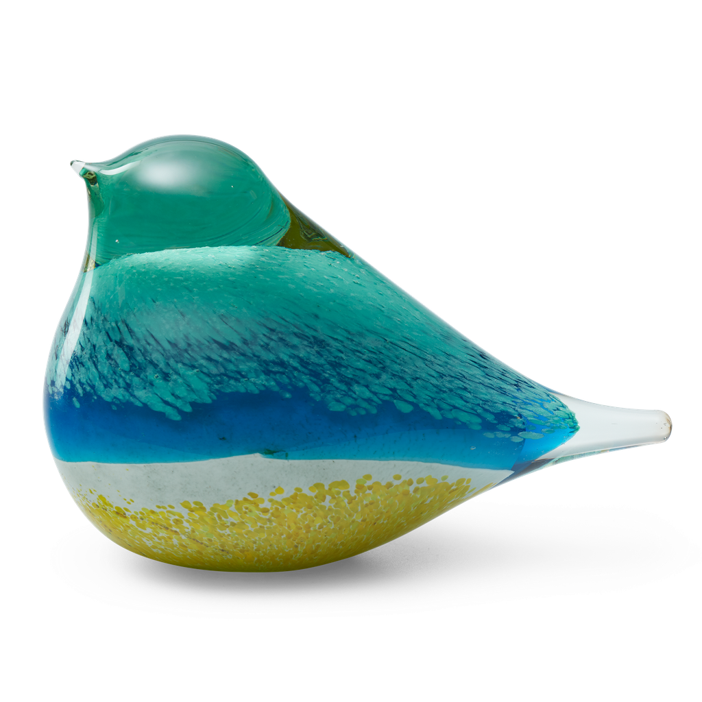 GLASS BIRD ATLAS (BLUE/YELLOW)