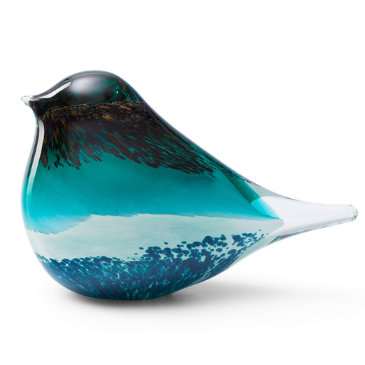 [OGBAG-19] GLASS BIRD ATLAS (BLACK/GREEN)