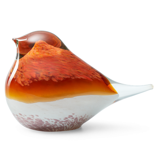 [OGBAO-19] GLASS BIRD ATLAS (ORANGE/PINK)