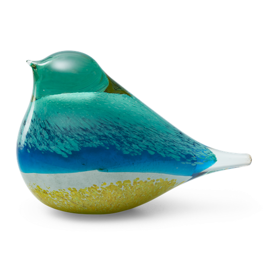 [OGBAB-19] GLASS BIRD ATLAS (BLUE/YELLOW)
